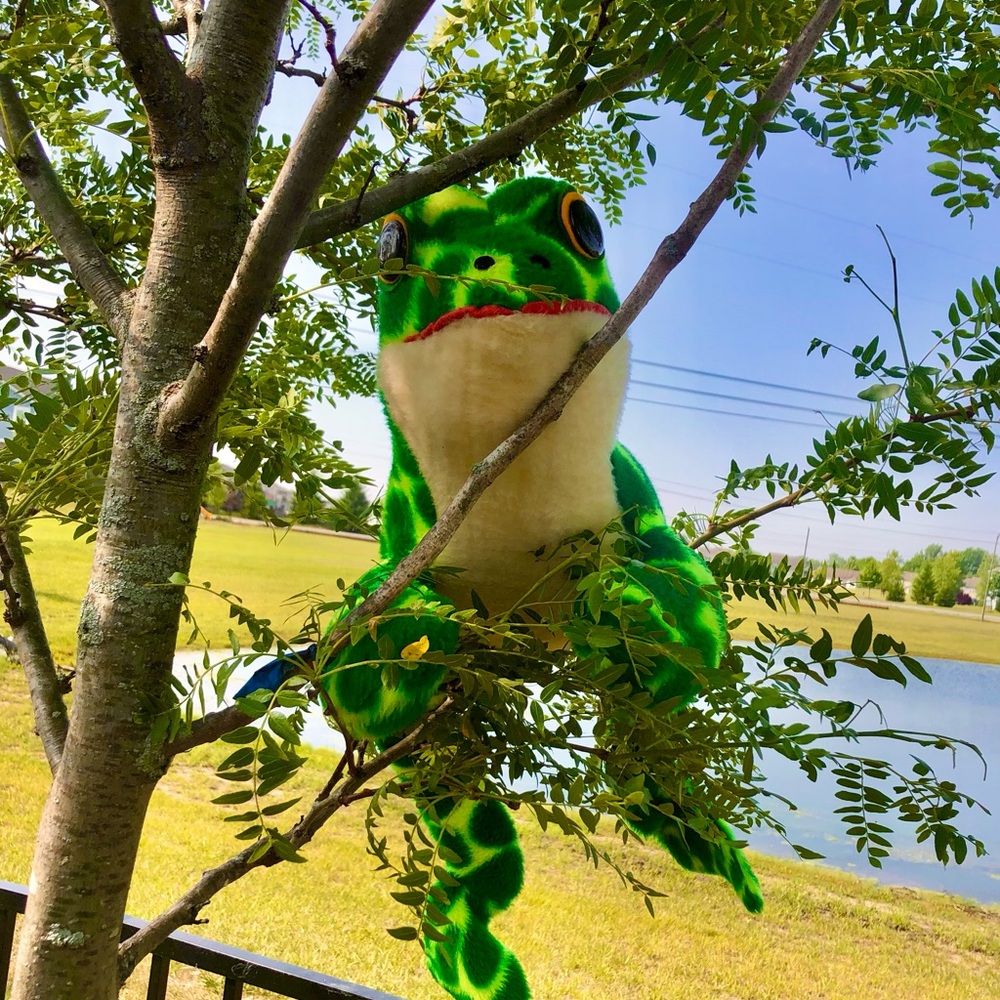 Animal Fair Inc. Frog Green Large Long Legs Big Eyes Vintage USA Plush Tree Rare